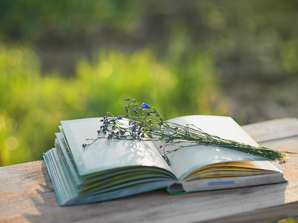 aménagement extérieur camping la Mine de cuivre à Eastman en Estrie